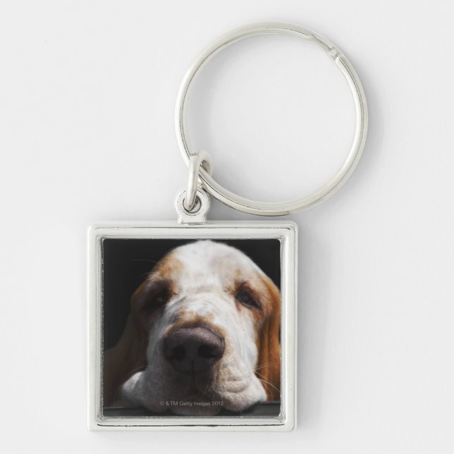 Chaveiro Basset Hound que descansa sua cabeça (Frente)