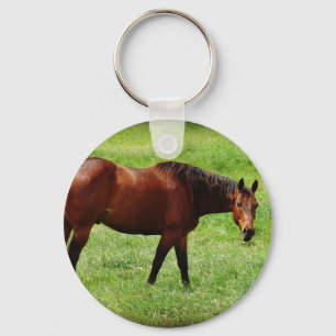 Chaveiro Bay Horse