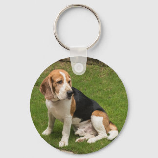 Chaveiro Beagle