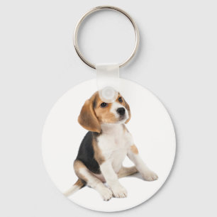 Chaveiro Beagle Puppy