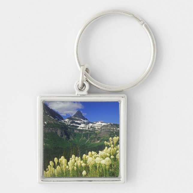 Chaveiro Beargrass no Logan Pass no Parque Nacional Glacier (Frente)