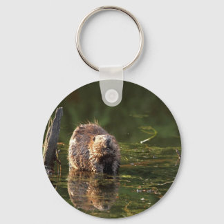 Chaveiro Beaver sorridente