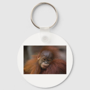 Chaveiro Bebê de Orangutang