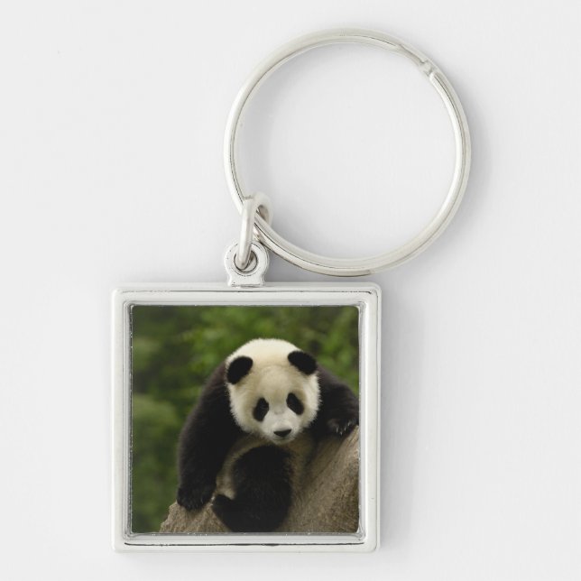 Chaveiro bebê de panda gigante (Frente)