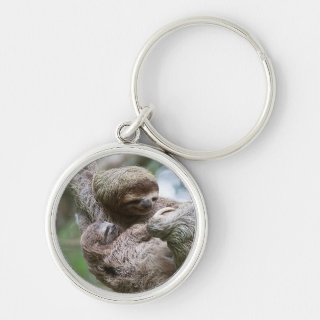 Chaveiro Bebê de Preguiça com Mãe Pendurada em uma Árvore (Frente)