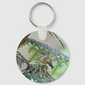 Chaveiro Bebê Hummingbird Esticando Sua Língua