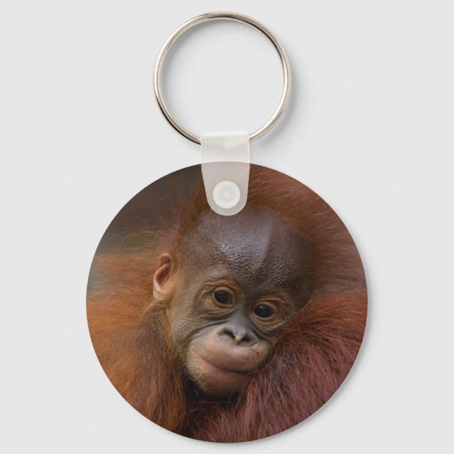 Chaveiro bebê Orangutang (Frente)