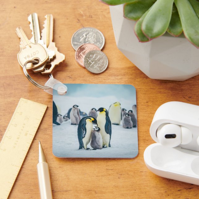 Chaveiro Bebês Mais Pobres | Alimentos para pinguins bebês (Mesa)