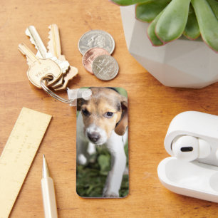 Chaveiro Bebês Mais Pobres Beagle Puppy