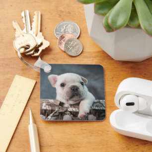 Chaveiro Bebês Mais Pobres   Buldogue francês