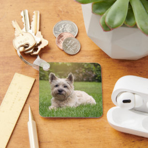 Chaveiro Bebês Mais Pobres Cairn Terrier Dog