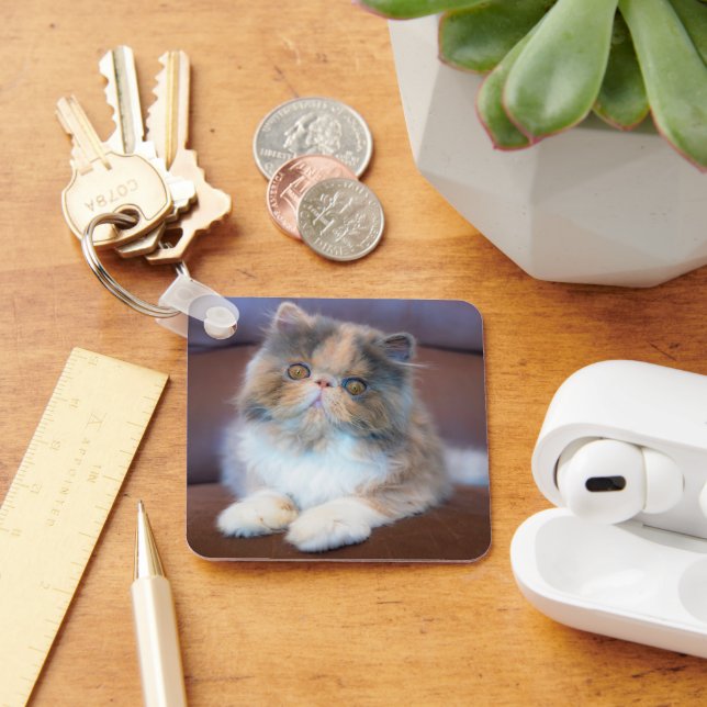 Chaveiro Bebês Mais Pobres | Calico Pérsico Kitten (Mesa)