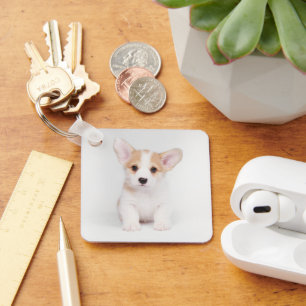 Chaveiro Bebês Mais Pobres Corgi Branco