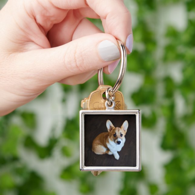 Chaveiro Bebês Mais Pobres | Corgi Procurando (Mão)