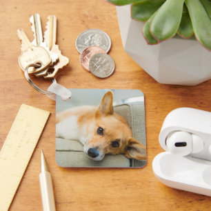 Chaveiro Bebês Mais Pobres Corgi Puppy no sofá