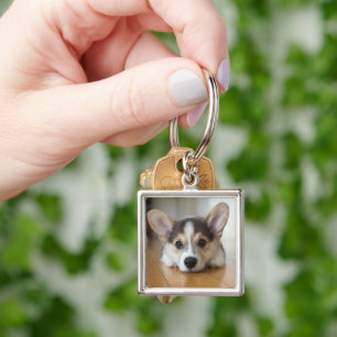 Chaveiro Bebês Mais Pobres   Corgi Puppy Olhando