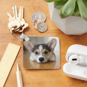 Chaveiro Bebês Mais Pobres   Corgi Puppy Olhando