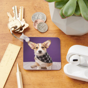Chaveiro Bebês Mais Pobres Corgi Puppy Skull Bandana