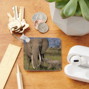 Chaveiro Bebês Mais Pobres   Elefante Amama Com Bebê