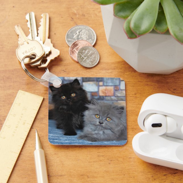 Chaveiro Bebês Mais Pobres | Gatinhos Persa em Aberto (Mesa)