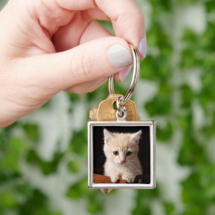 Chaveiro Bebês Mais Pobres Ginger Kitten