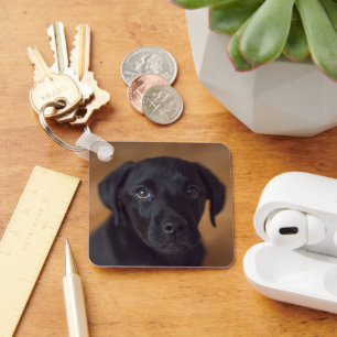 Chaveiro Bebês Mais Pobres Labrador Preto