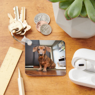 Chaveiro Bebês Mais Pobres   Mini Dachshund Puppy