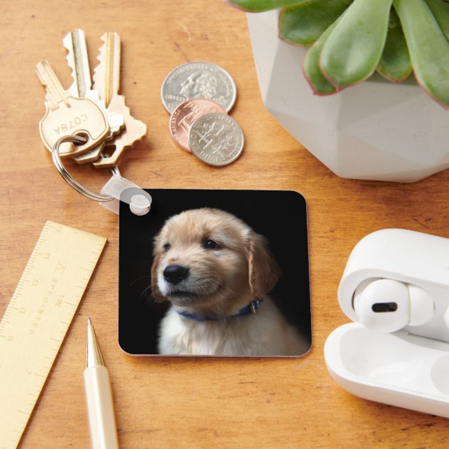 Chaveiro Bebês Mais Pobres | Ouro Retriever Puppy (Mesa)