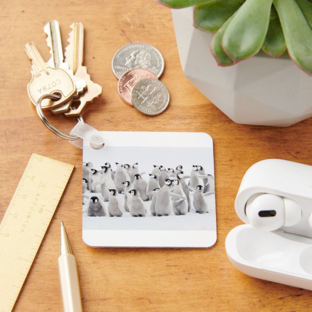 Chaveiro Bebês Mais Pobres | Pintinhos Imperadores Pinguins (Mesa)