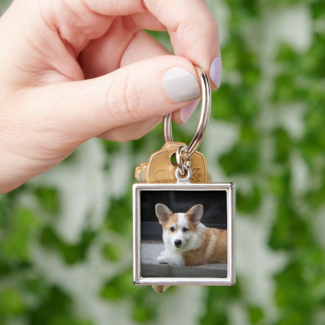 Chaveiro Bebês Mais Pobres | Relaxamento do Corgi Puppy (Mão)
