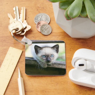 Chaveiro Bebês Mais Pobres Siamese Kitten 2