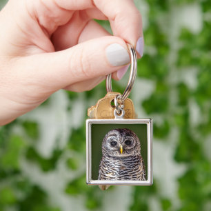 Chaveiro Bebês Mais Pobres Tawny Owl