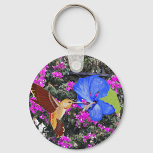 Chaveiro Beija-flor, Hibisco Azul e Bougainvillea