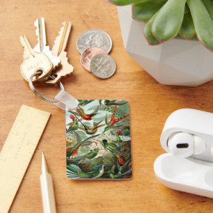 Chaveiro Beija-flores por Ernst Haeckel, Árvores de Pássaro