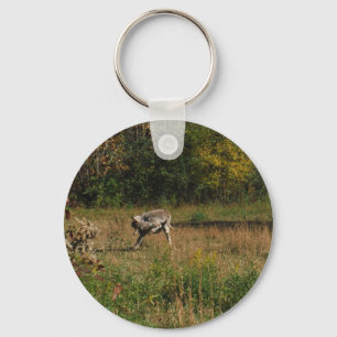 Chaveiro Beijando o asno do bumbum