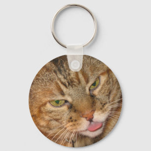 Chaveiro beijos do gato do gatinho