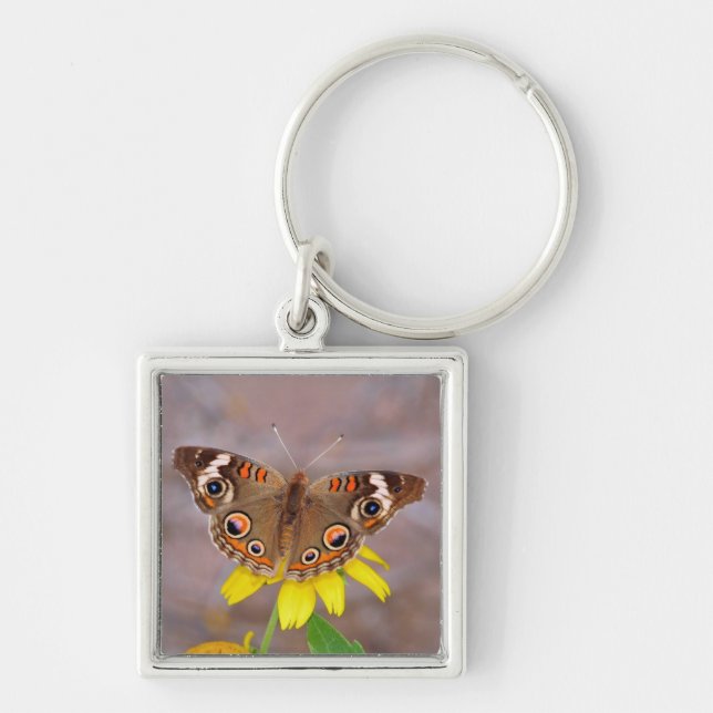 Chaveiro Bela borboleta na Flor Amarela (Frente)