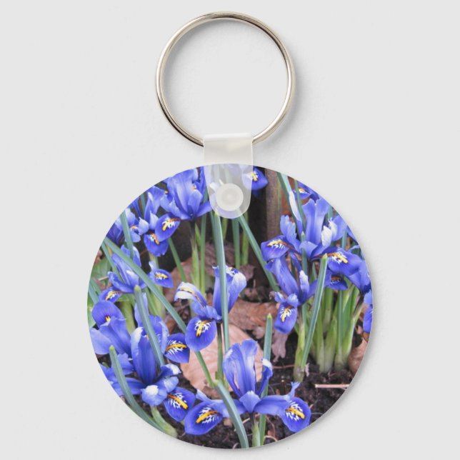 CHAVEIRO BELO IRIS (Frente)
