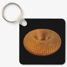 Belo Ouro Torus