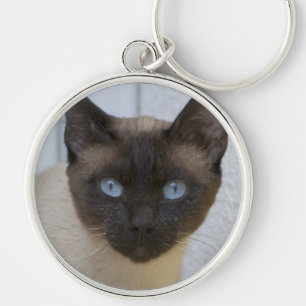 Chaveiro Belo Ponto de Selo Gato Siamês