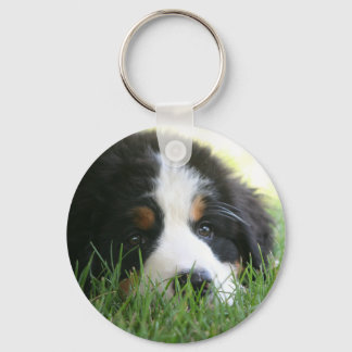 Chaveiro Bernese Puppy