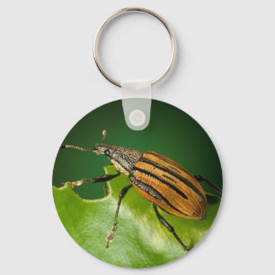 Chaveiro Bettle listrado amarelo e preto dos weevils