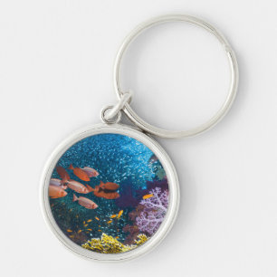 Chaveiro Bigeye ou Óculos de proteção-Olho do cenário  