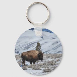Chaveiro Bison nas montanhas do inverno de Yellowstone