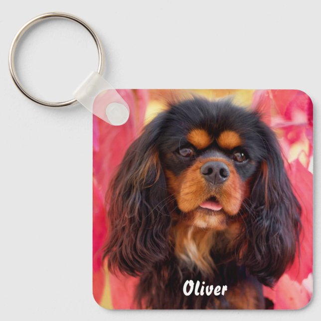 Chaveiro Black and Tan Cavalier King Charles Spaniel Dog (Frente)