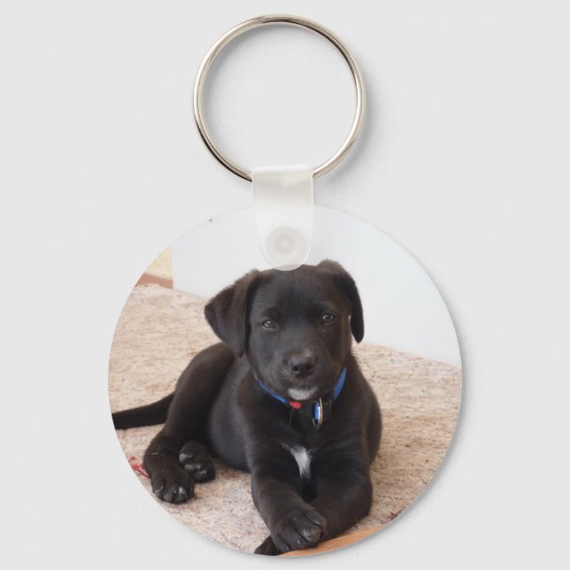 Chaveiro Black Labrador Retriever Puppy (Frente)