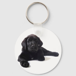 Chaveiro Black Labrador Retriever Puppy