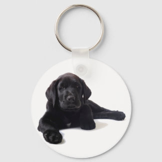 Chaveiro Black Labrador Retriever Puppy