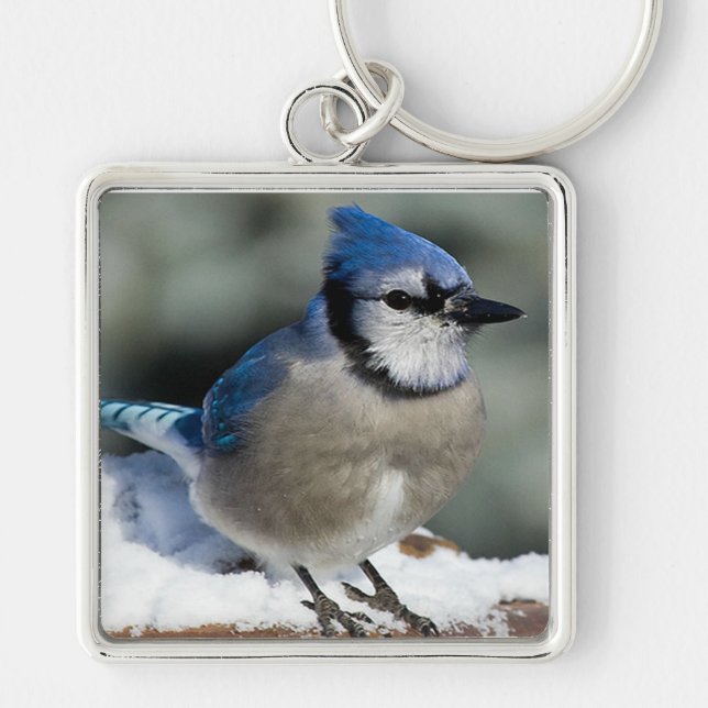 Chaveiro Blue Jay (Frente)