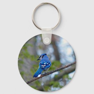 Chaveiro Blue Jay
